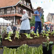 Fête des Récoltes d\'antan à Hindisheim 2024