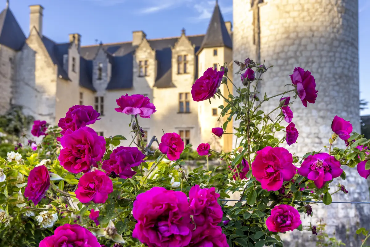 Fête des Roses
