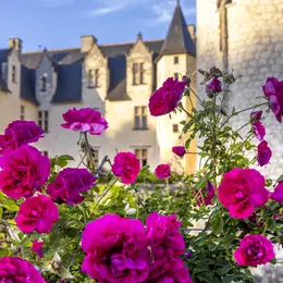 Fête des Roses