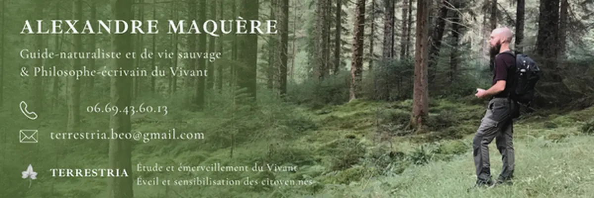 Fête des saisons autrement 1/8 ; Samhain