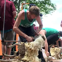 Fête des tondailles de Martel
