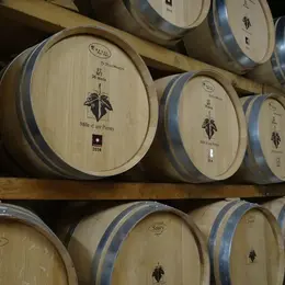 Fête des vendanges