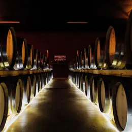 Fête des vendanges, au Château de Crouseilles