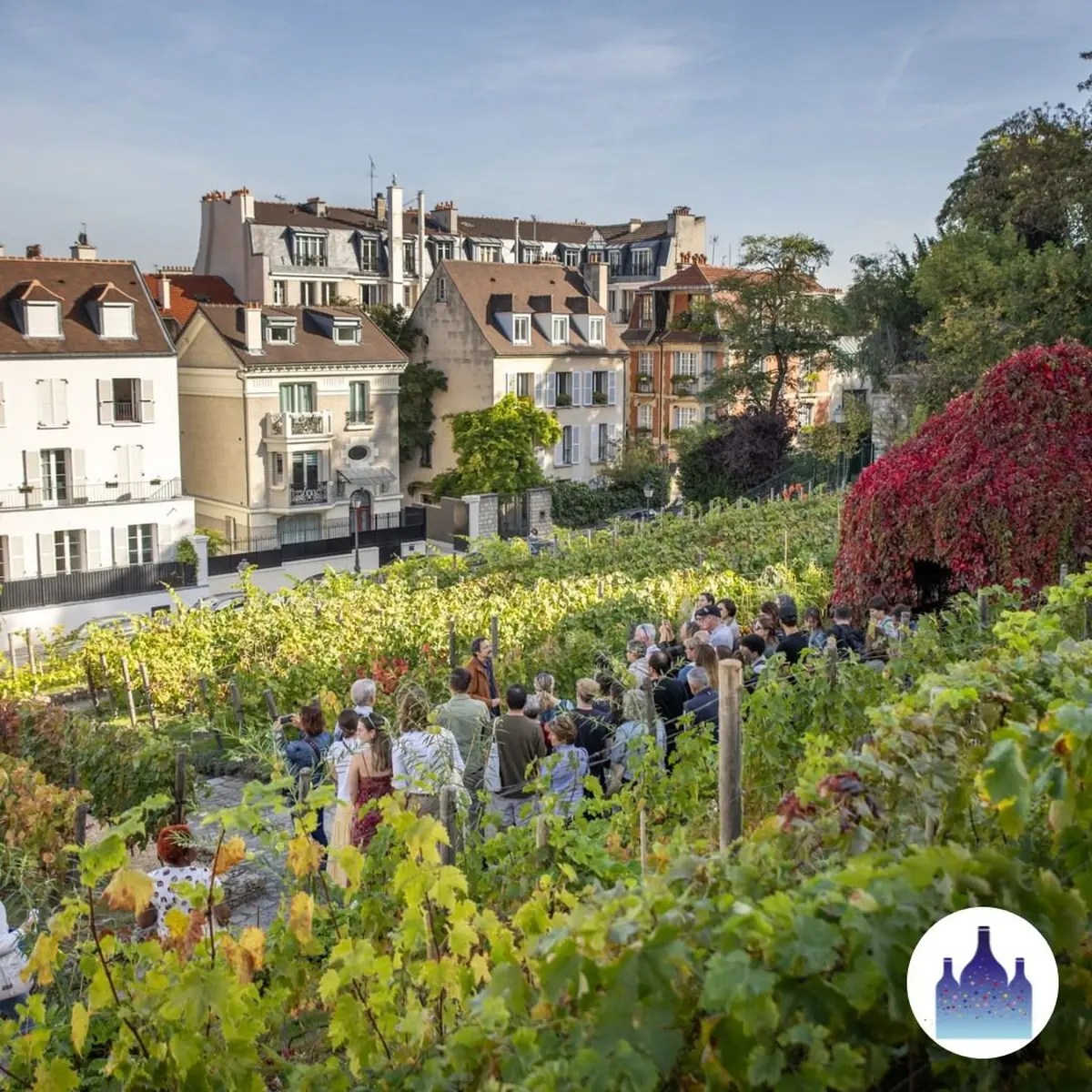 Fête des Vendanges à Montmartre