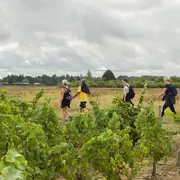 Fête des vendanges des AOC Cheverny et Cour Cheverny