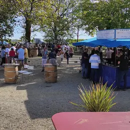 Fête des vendanges et randonnée au Château de Garbes