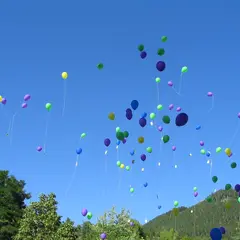 Fête Des Vignes