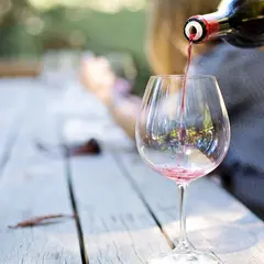 Fête des Vins de La Brède