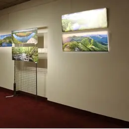 Fête du canal | Exposition Epidor