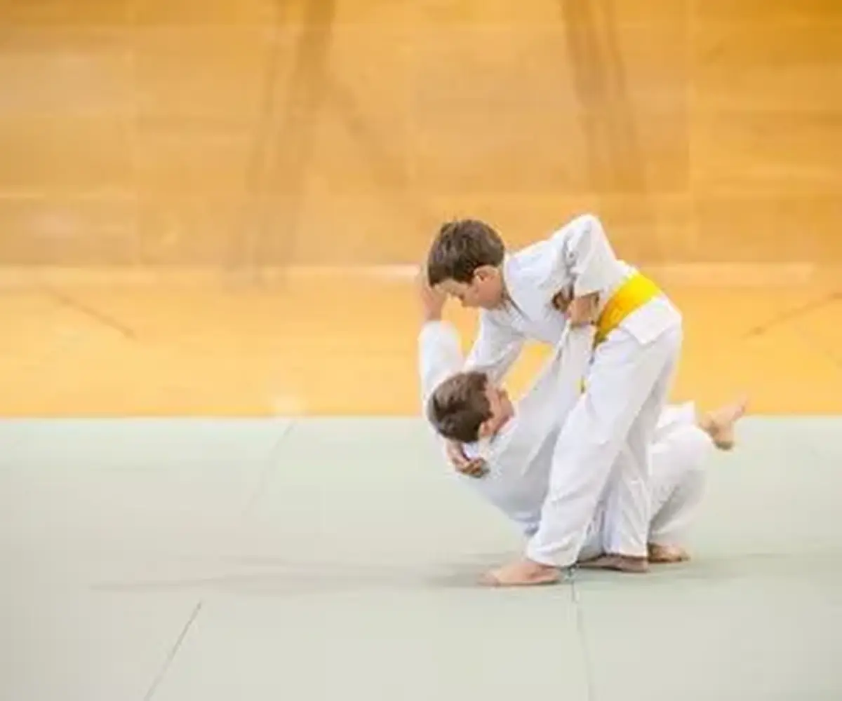 Fête du centre culturel et sportif sévéragais