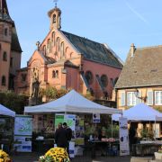Fête du Champignon 2023 à Eguisheim