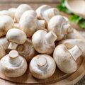 F&ecirc;te du Champignon