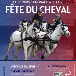 Fête du cheval
