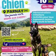 Fête du chien