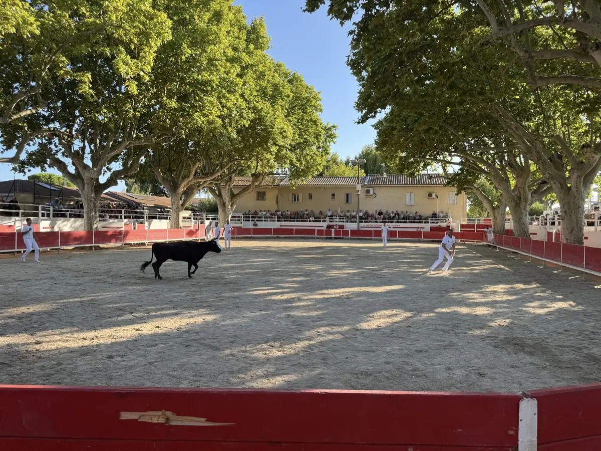Fête du club taurin Lou Biou Gravesounen
