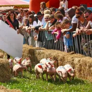 Fête du Cochon à Ungersheim 2024