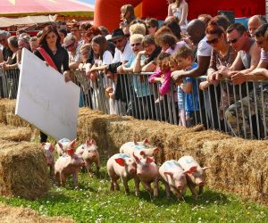Fête du Cochon à Ungersheim 2023