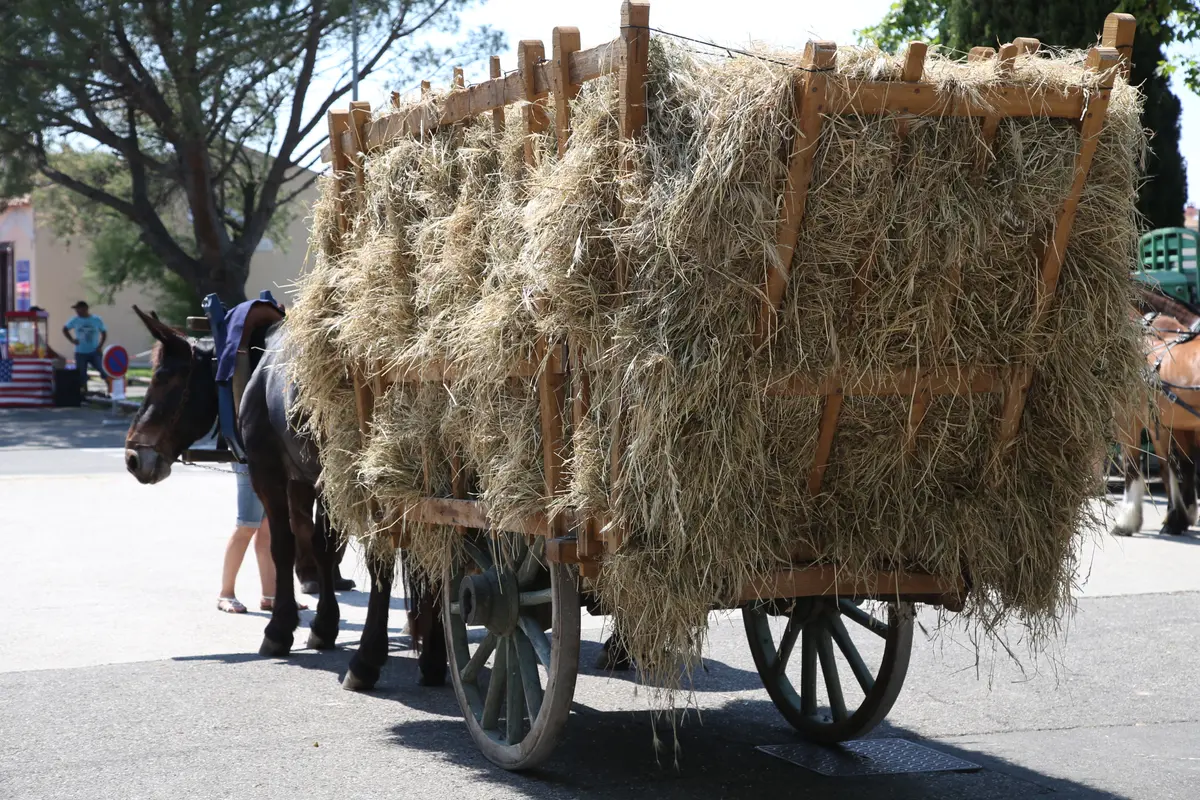 Fête du foin