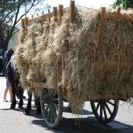 Fête du foin