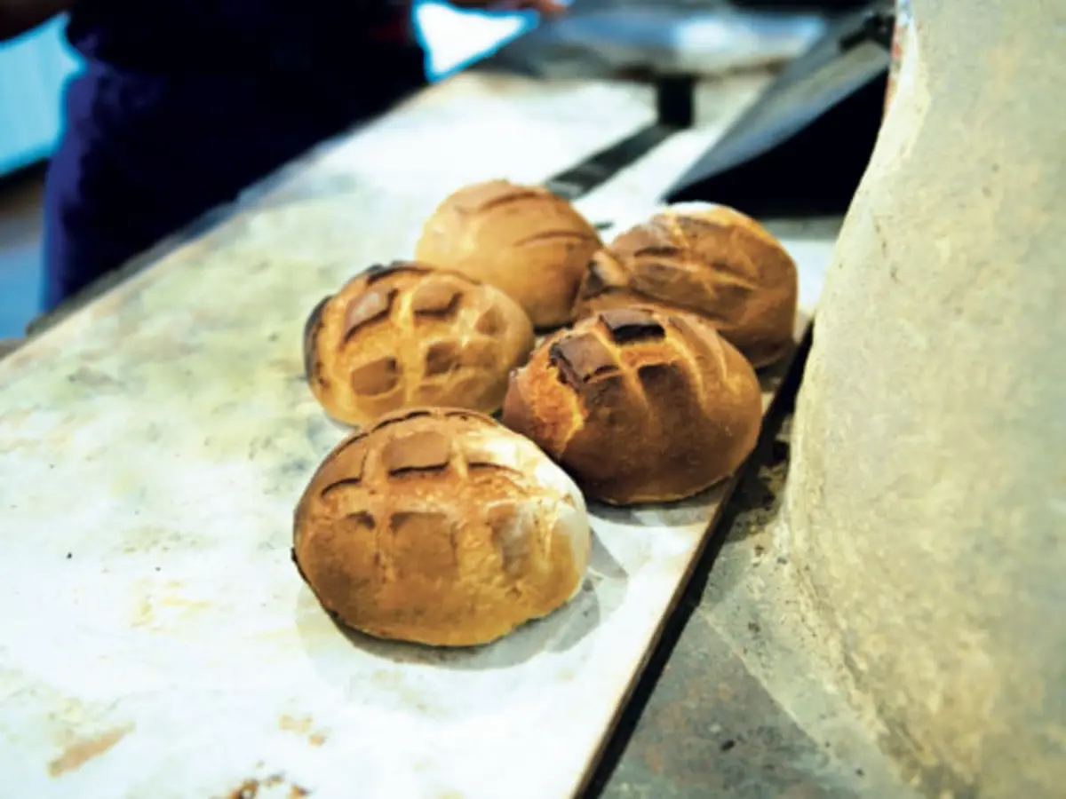 Fête du Goût 2024 aux Fermes de Gally de Saint-Cyr l'Ecole