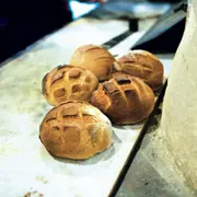 Fête du Goût 2024 aux Fermes de Gally de Saint-Cyr l'Ecole