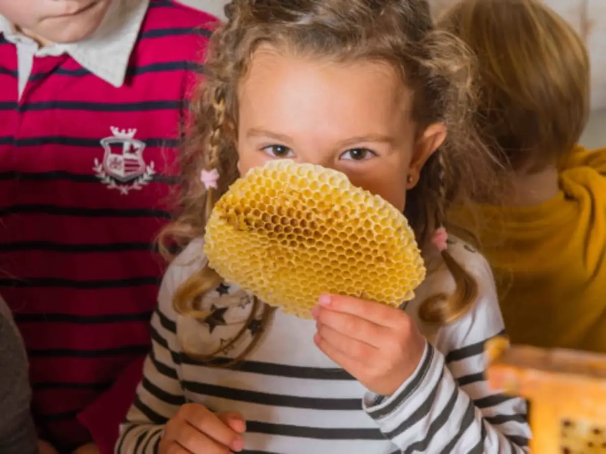 Fête du goût à la Ferme Ouverte de Sartrouville