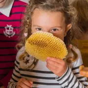 Fête du goût à la Ferme Ouverte de Sartrouville