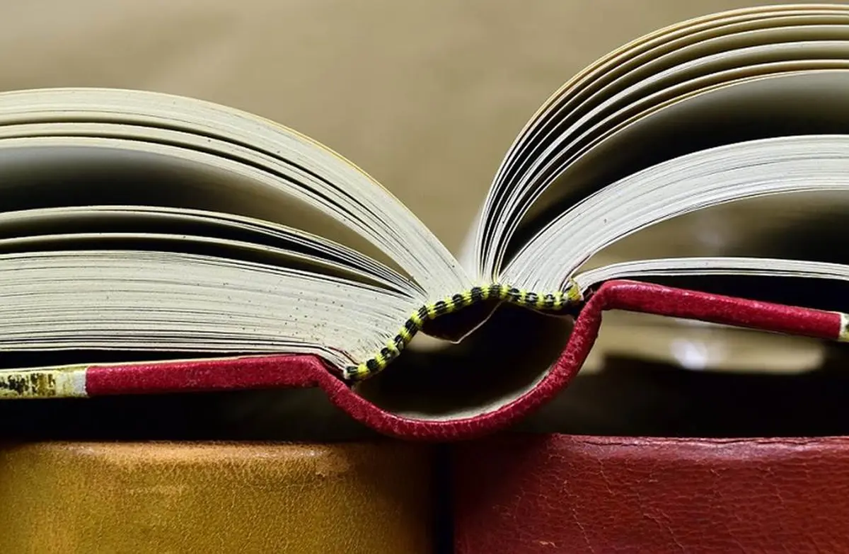 Fête du Livre et des Libraires