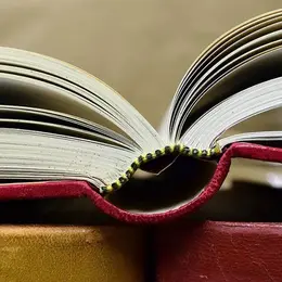 Fête du Livre et des Libraires