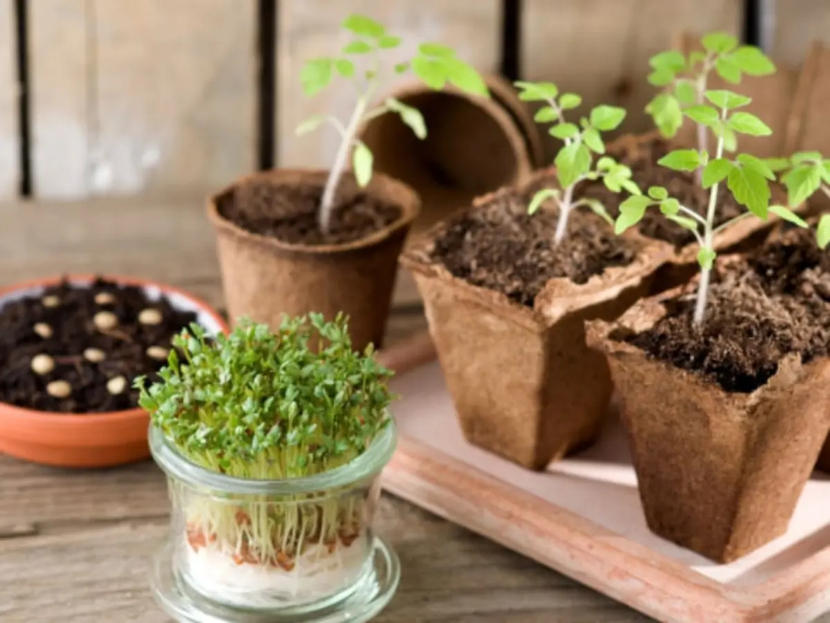 Fête du Maraîchage à la Ferme de Gally de Saint-Denis