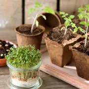 Fête du Maraîchage à la Ferme de Gally de Saint-Denis