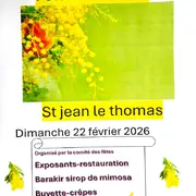 Fête du mimosa
