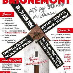 Fete Du Moulin De Brignemont