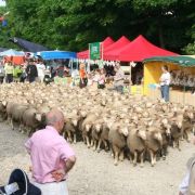 Fête du mouton 2022 à Sommepy-Tahure