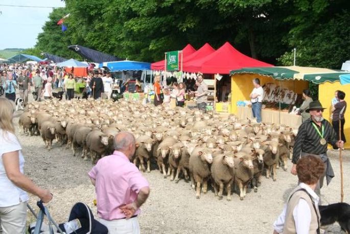 Fête du mouton  à Sommepy-Tahure