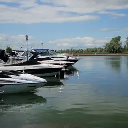 Fête du port