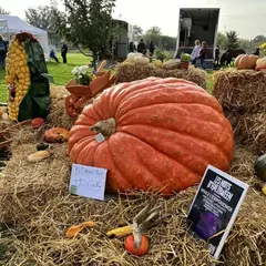 Fête du potiron à Wittenheim