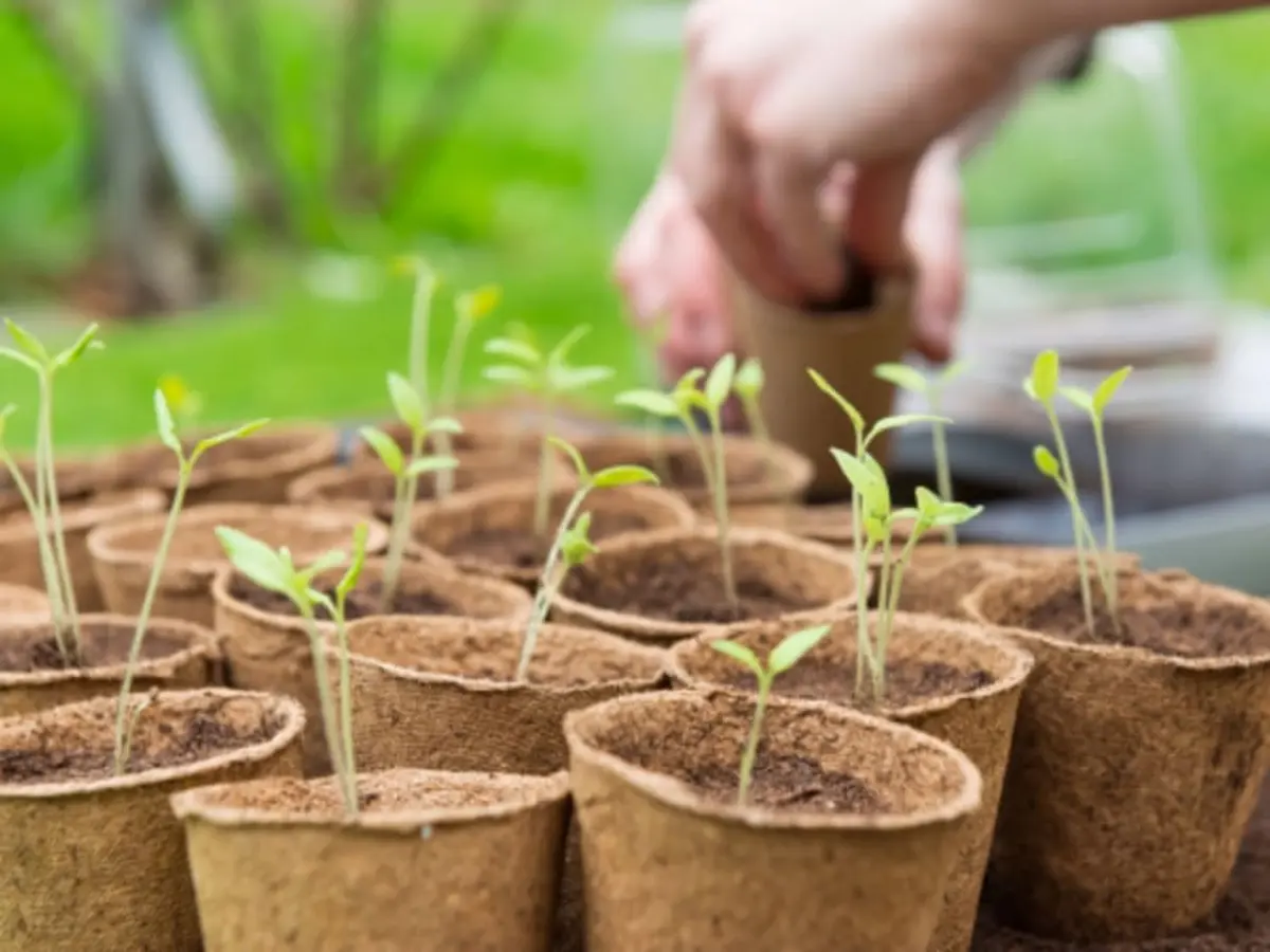 Fête du printemps à la Ferme Ouverte de Gally
