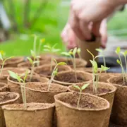 Fête du printemps à la Ferme Ouverte de Gally
