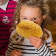 Fête du printemps à la Ferme Ouverte de Gally Sartrouville