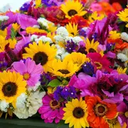 Fête du printemps et vide-greniers à Entressen