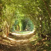 Fête du printemps - randonnée pédestre