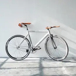 Fête du vélo