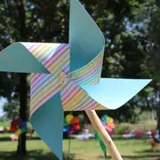 Fête du Vent à Terres d'Oiseaux