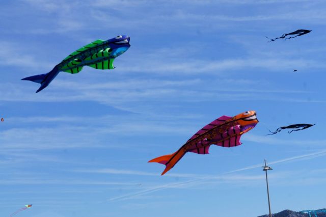 Cerfs-volants en forme de poisson à la Fête du Vent