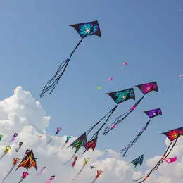 Fête du vent à Marseille en 2026 : festival du cerf-volant