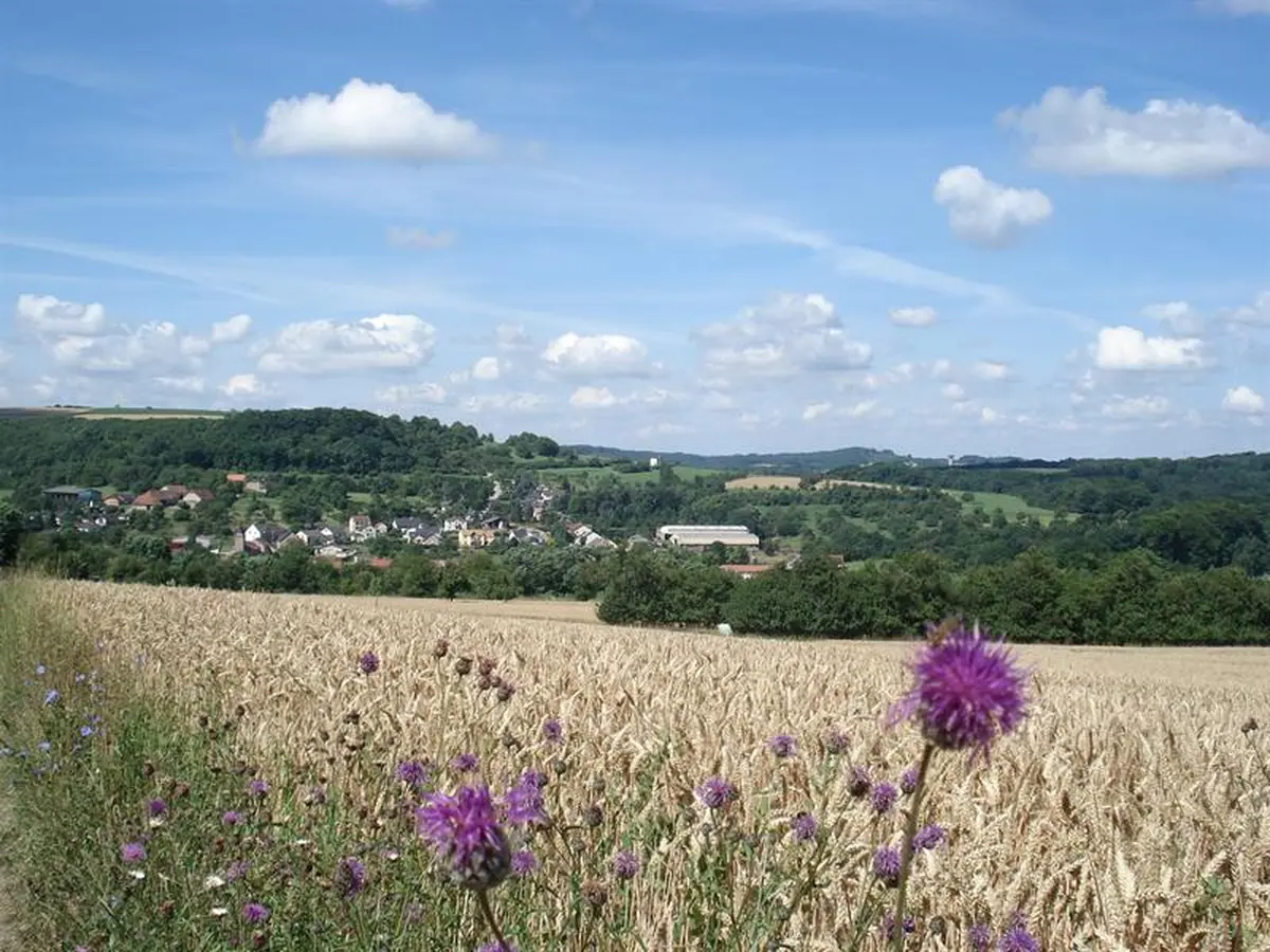 Fête du village