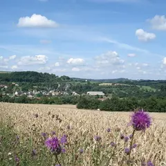 Fête du village