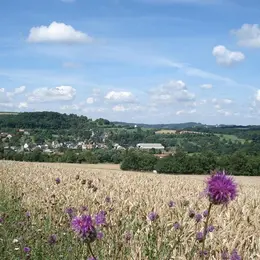 Fête du village