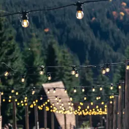 Fête du village à Falguières